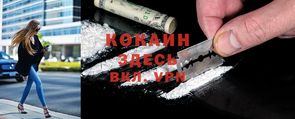 стаф Козловка