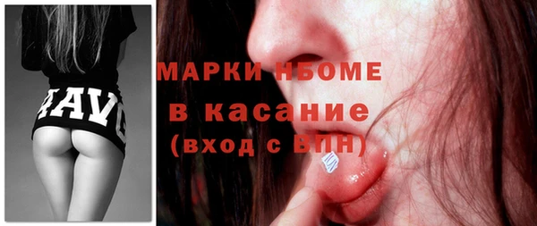 соль ск Козельск