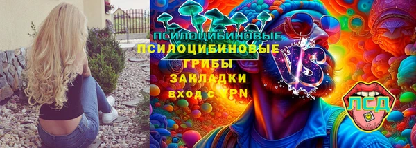 соль ск Козельск