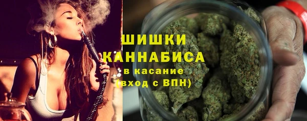 шишки Иноземцево